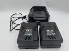 Gbe1140556 Briggs & Stratton Gbe1141610 Genuine Snapper Battery And Charger Read Description