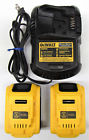 Dcb203-dcb101 Dewalt 2 Two Dcb204