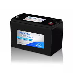 Leoch 445041570526 12 Volt 115 Ah Deep Cycle Battery For Ryobi Zero Turn Mowers