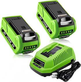 29482 Munikind 313096114149 2pack 6000mah 40v Lithium 29472 Replacement Battery 6.0ah And Charger Comp