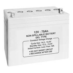 Zoro Select 47045 Sealed Lead Acid Battery 12v 75ah Gel