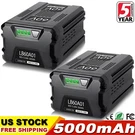 2PACK 5.0AH For Greenworks Pro 60VOLT Max Tool Lithium-ion Battery LB605 LB60A01. Fixed Price $168.99.