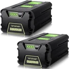 2PACK 80V 7.0AH Li-ion Battery For Greenworks Pro GBA80600 GBA80250 GBA80300. Fixed Price $189.99.