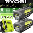 For Ryobi 40V OP40753VNM 7.5 Ah Lithium-ion Battery With Led / Fast Charger. Fixed Price $59.00.