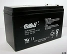 Casil 12V 7AH CA1270 Security Systems 623 Replacement Battery. Fixed Price $22.99.