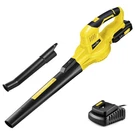 Snapfresh Cordless Leaf Blower With Battery & Charger, 20V Electric. Fixed Price $102.28.