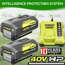 2X Battery & Charger For Ryobi 40V With Led Lithium-ion 40-VOLT OP406VNM OP40602. Fixed Price $96.00.