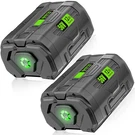 1/2PACK 12AH Battery For Ego 56VOLT BA5600 Power Lithium Ion BA4200 BA2800T. Fixed Price $359.99.