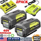 6.0AH Volt Battery For Ryobi OP40602 OP4050 Lithium Dual Charger. Fixed Price $110.99.