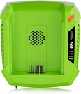 Dsanke 60-VOLT 6A Fast Charger For Greenworks Pro Power Tools 60V Batteries. Fixed Price $50.00.