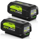Ryobi 40V Battery 6.0AMPS OP4026 Replacement 2PACK Gerit OP40404. Fixed Price $124.99.