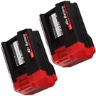 Pack For Skil Pwrcore 40V 6.0AH High Capacity Lithium Ion Battery BY8708 BY8705. Fixed Price $95.99.