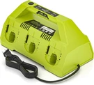6-PORT Fast Charger For Ryobi P135/P117 18V Li-ion Battery W/ Led Indicators. Fixed Price $69.99.