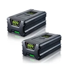 Ferryboat Upgraded 5.0AH 80V GBA80200 Replacement For Greenworks Battery .... Fixed Price $203.72.