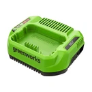 Greenworks 80V 2A Standard Charger GCH8020 - Refurished. Fixed Price $29.99.