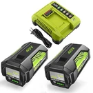 Moticett 40V 6.0AH Lithium-ion Battery And Charger Replacement For Ryobi .... Fixed Price $131.14.