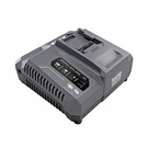 Flex FX0421-Z 24V 280W Rapid Charger, Built-in Intelligent Processor, 9.4A. Fixed Price $169.00.