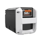 Replacement For Echo Battery 4.0AH CBP-58V40 CBP-58V20 Compatible With Al.... Fixed Price $181.25.