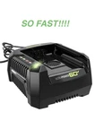 Greenworks Pro 60V Battery Charger For Cordless Lawn Care Tools Black And. Fixed Price $84.99.