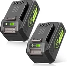 Pack 24V 6.0AH Greenworks Battery Replacement 29842 29852 Lithium Ion. Fixed Price $59.99.