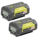 Ryobi Pack Of Genuine Oem Replacement Batteies, 206336003-2PK. Fixed Price $369.98.
